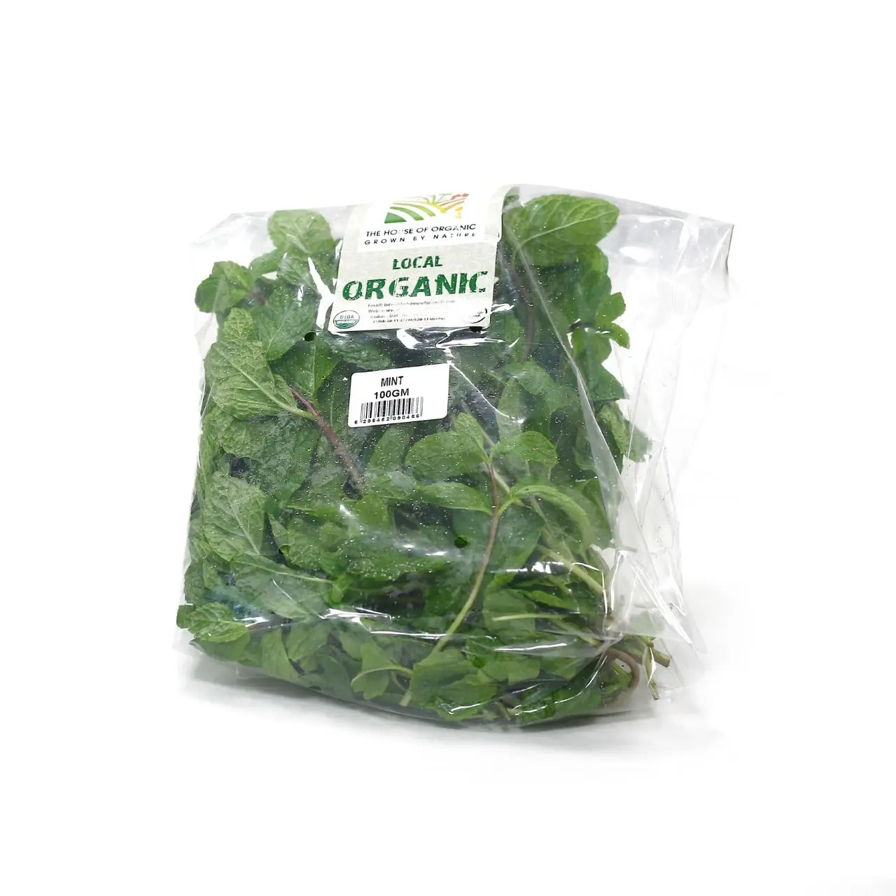 Organic Mint 100g UAE
